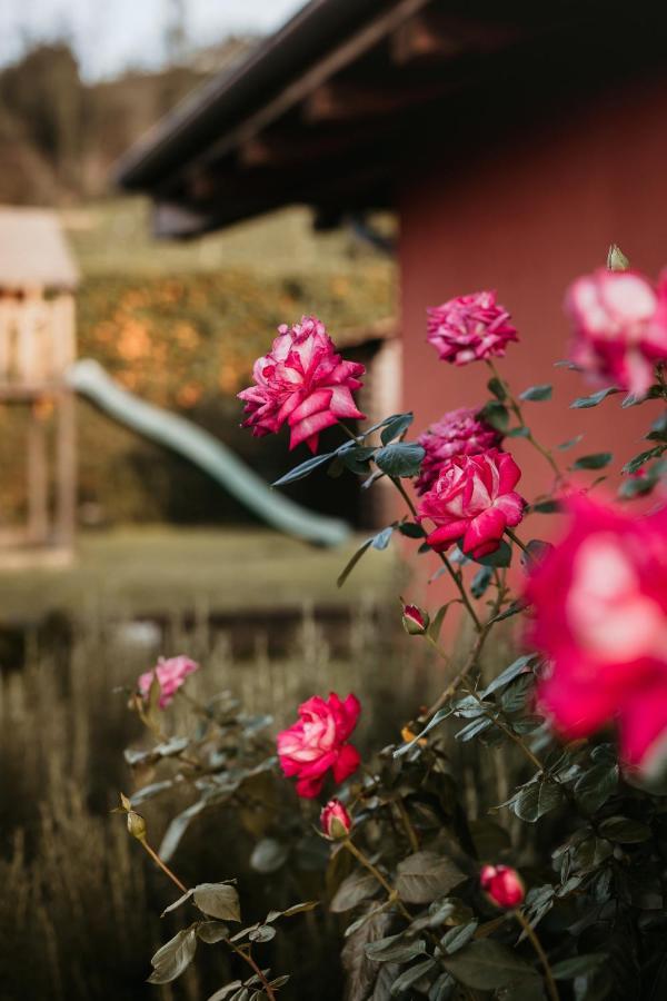 Villa Gramolina Nizza ニッツァ・モンフェッラート エクステリア 写真
